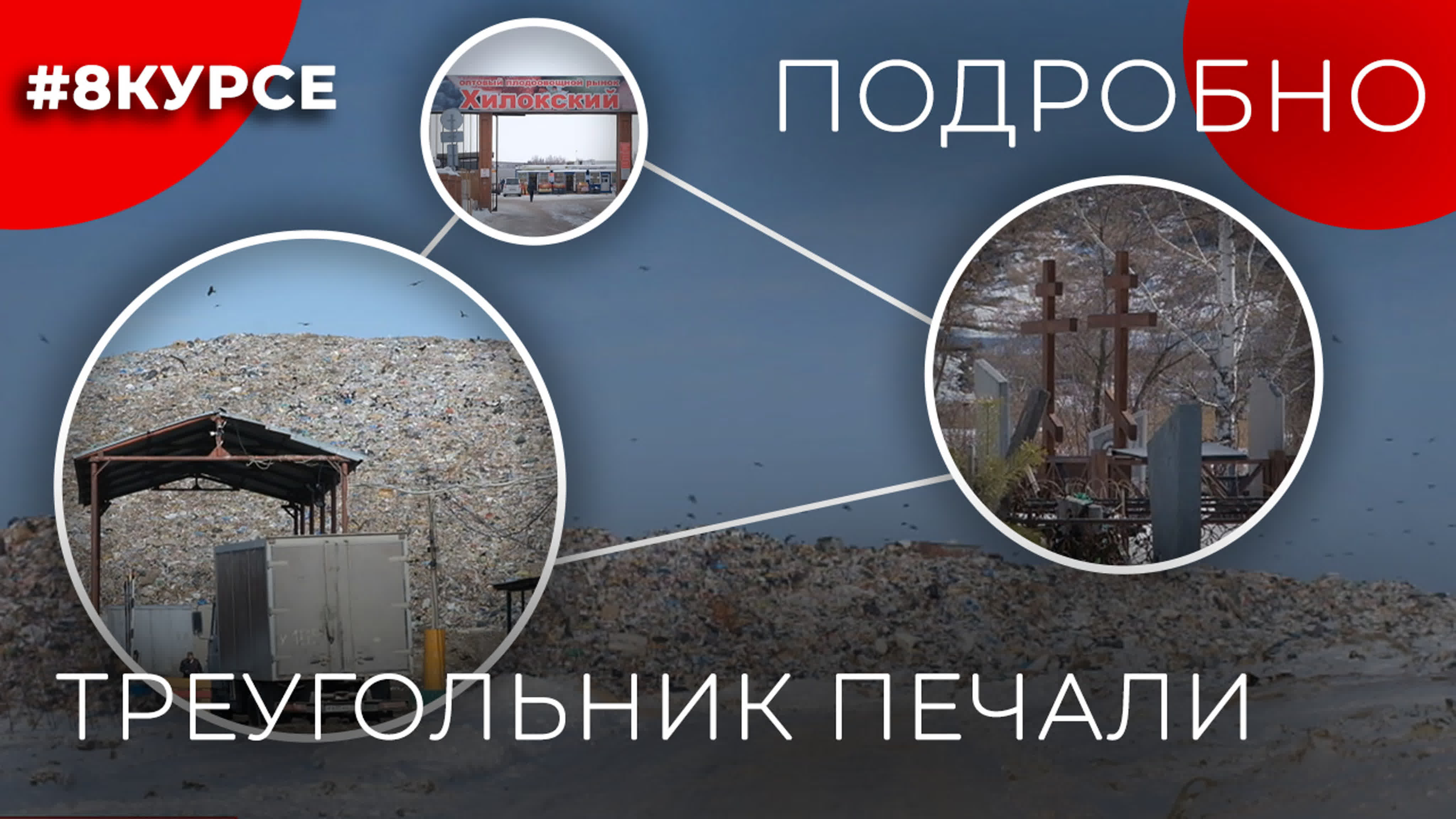#8КУРСЕ