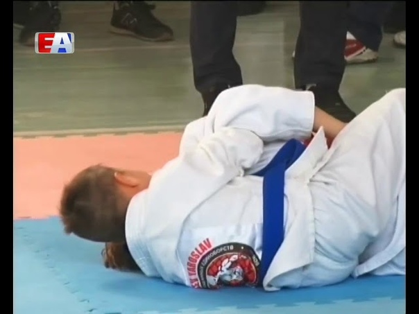 Спорт
