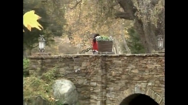 HD Video Collection