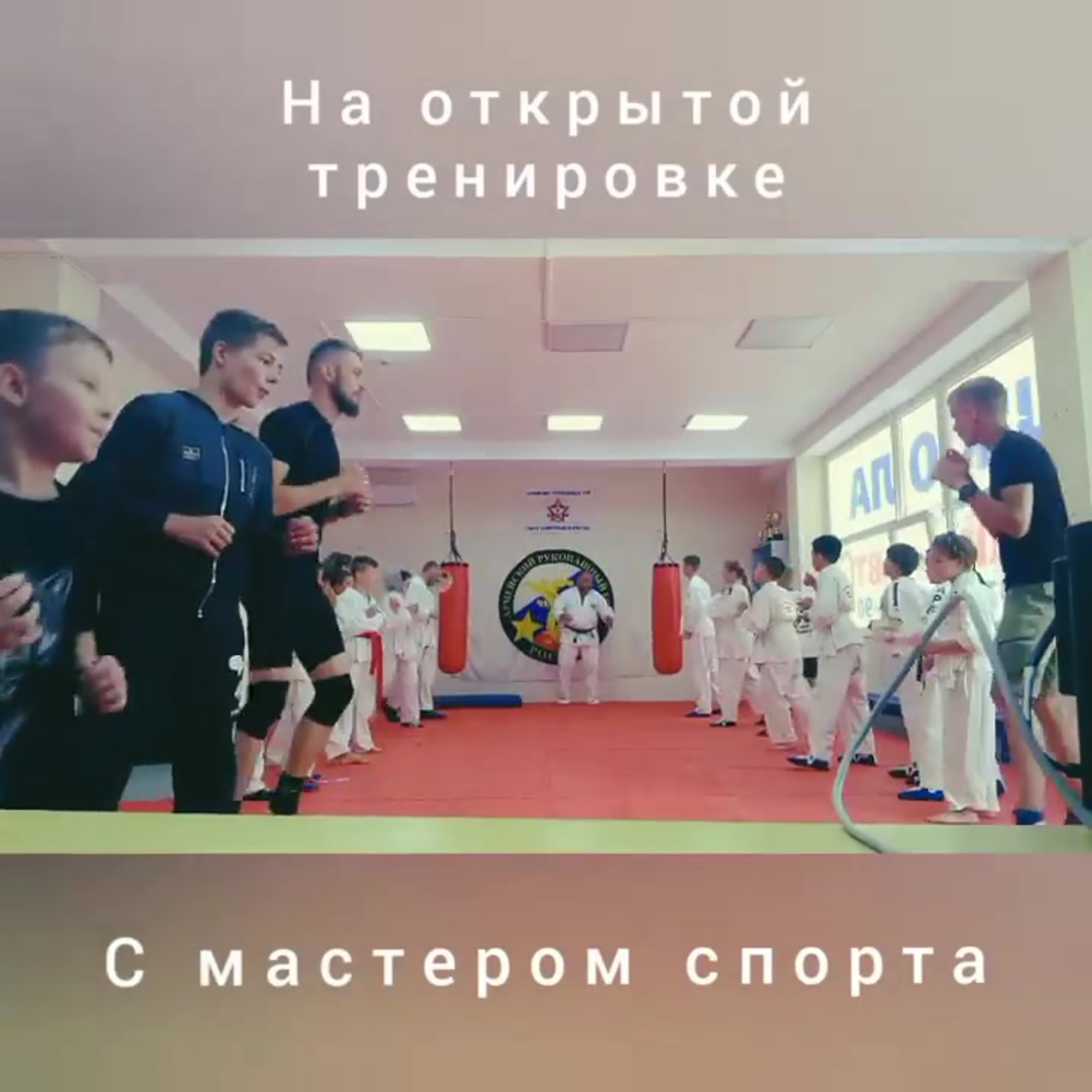 ММА для детей ТОП-8 упражнений для юных бойцов смешанных единоборств (до 12-ти лет)
