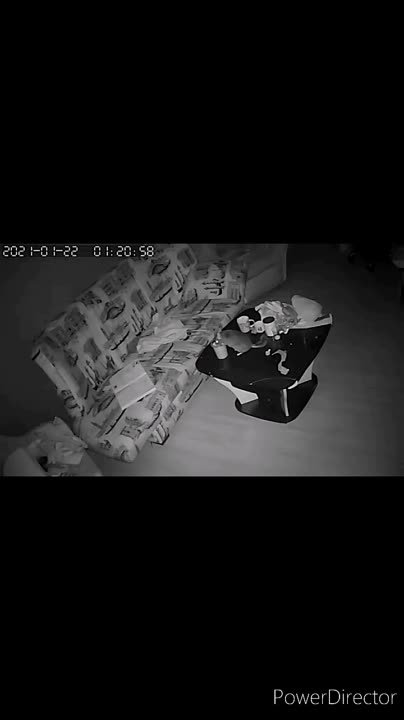 Мы за жизнь