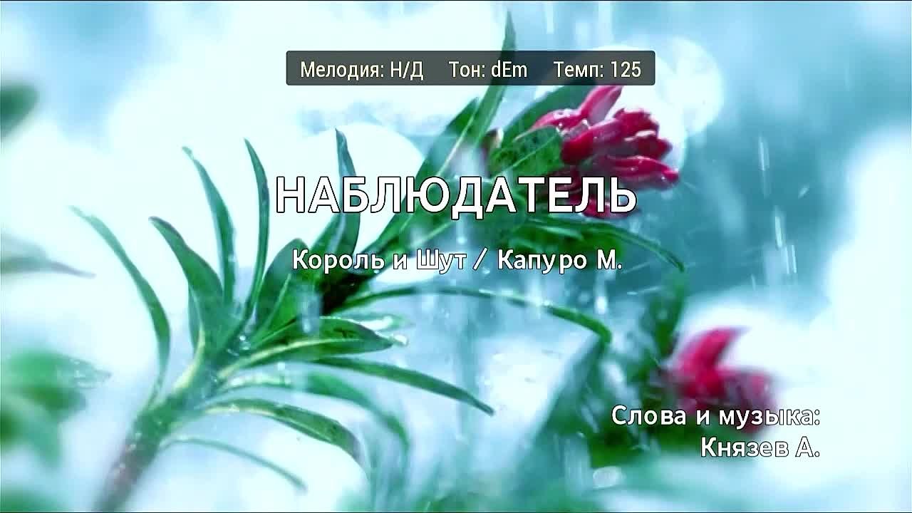 Король и шут