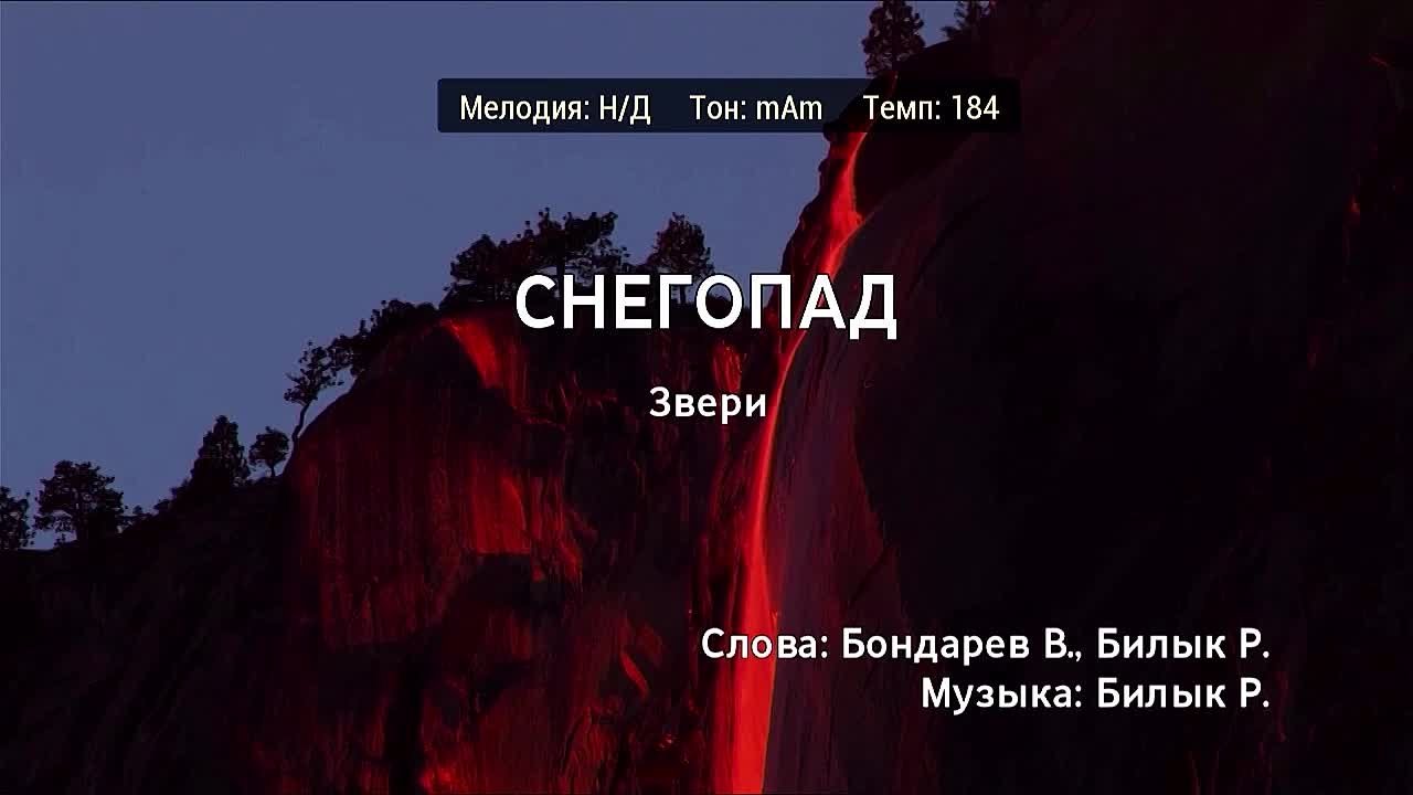 Звери