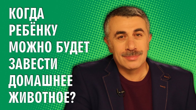 Домашние питомцы