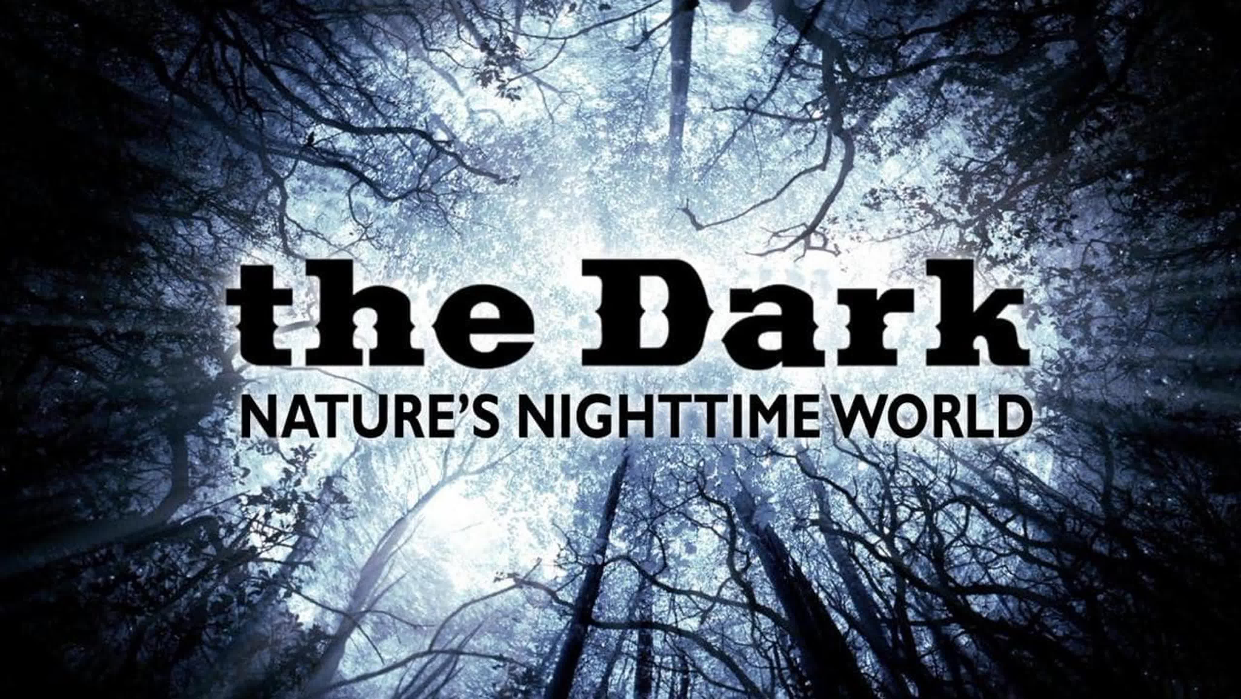 Тьма: Мир Ночной Природы / The Dark: Nature's Nighttime World (2012)