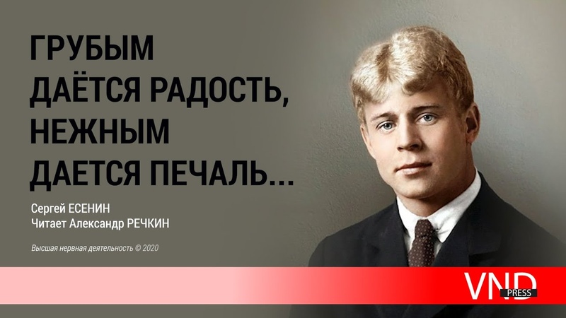 Стихи