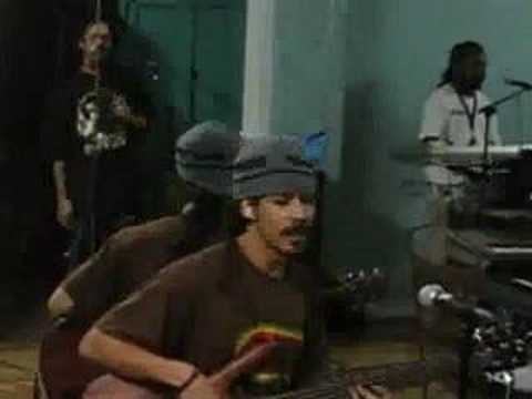 Damian Marley