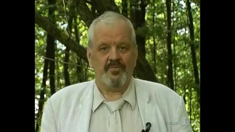 Английский, немецкий и др. по системе Форсаж. (Иван Полонейчик и Виктор Кирчинко)