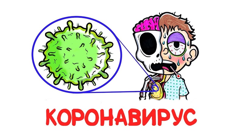 Наука и Технологии