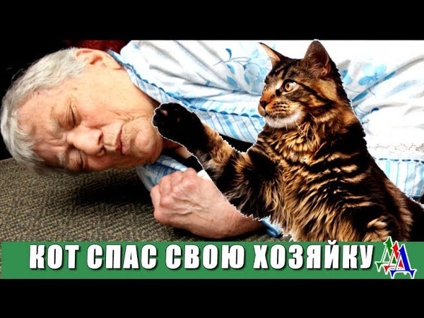 Доброта  помощь  спасение других ....