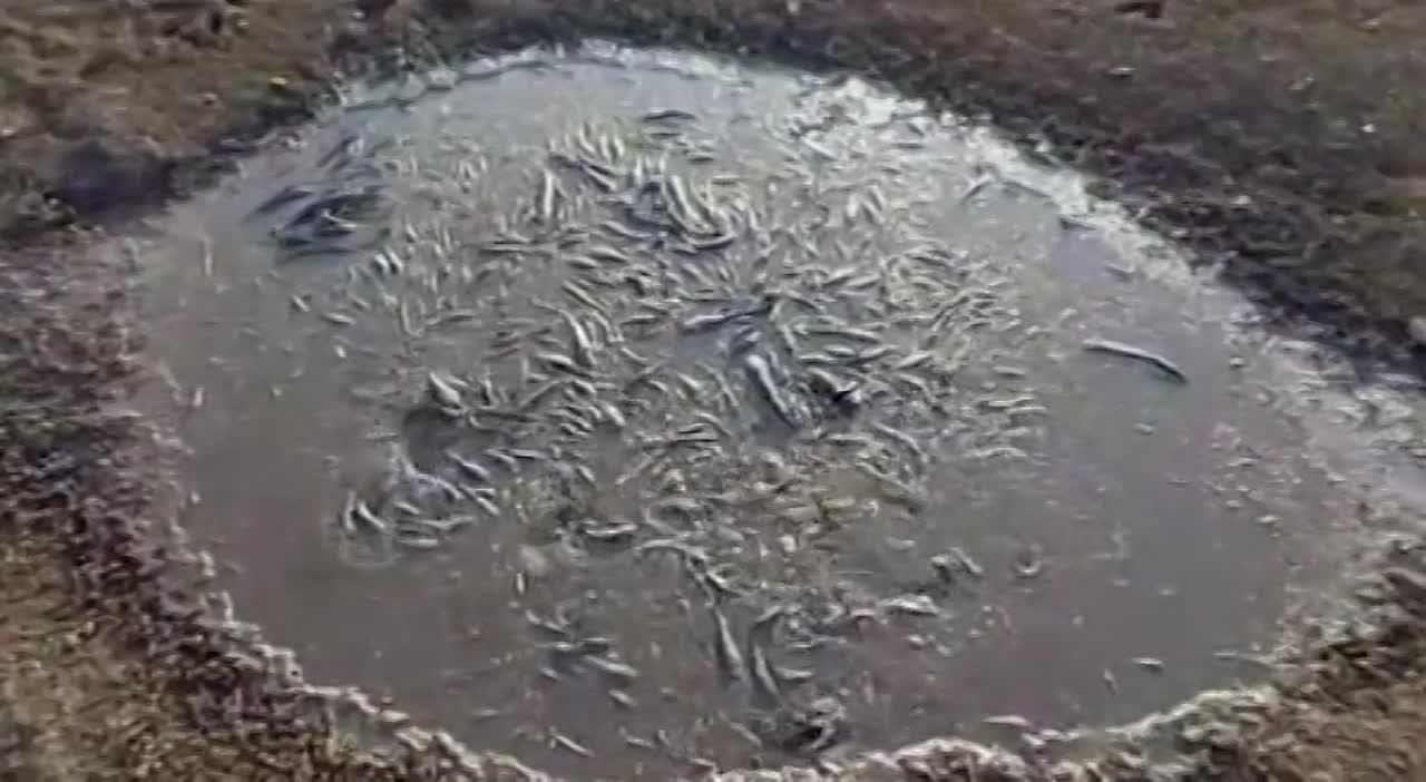 Христианские кино  и видео