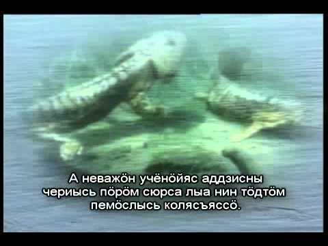 Заповедники Коми Республики сб.№2