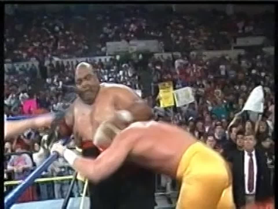 1991 WCW DE