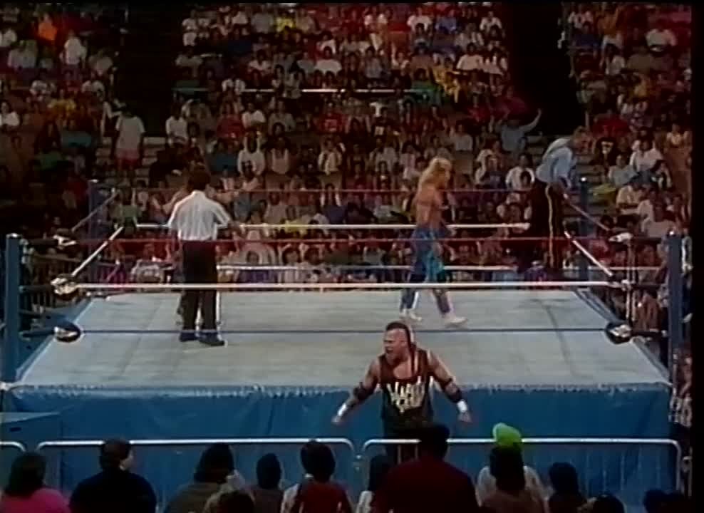 1991 WWF DE