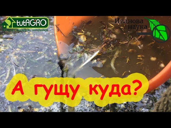 Огород