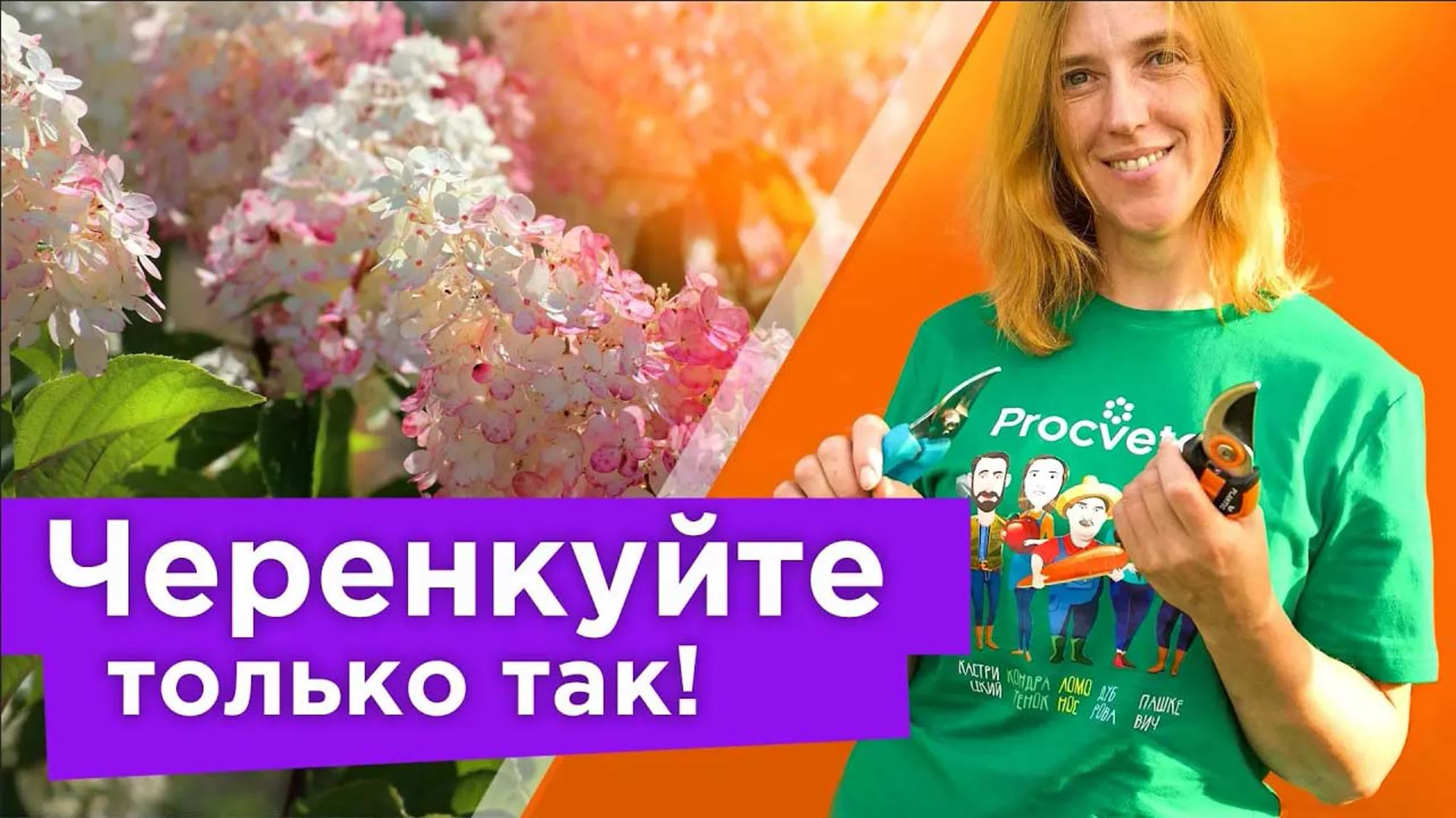 Цветник