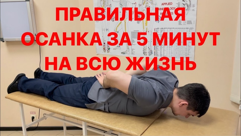 здоровый позвоночник