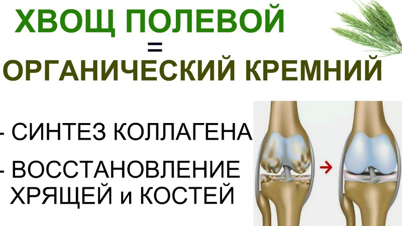 здоровье