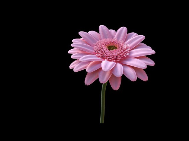 Cinema 4D