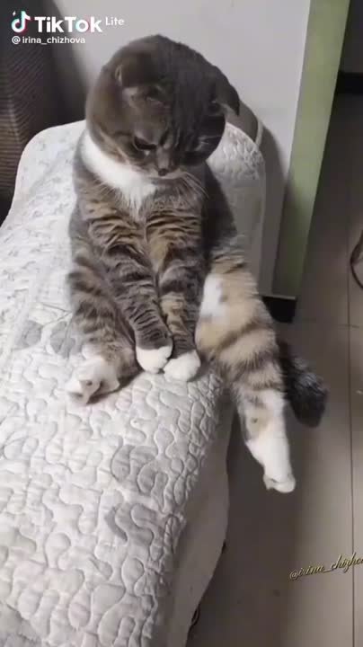 Точная подача. Вы не только молодцЫ)..... удальцЫ и красавцЫ))!