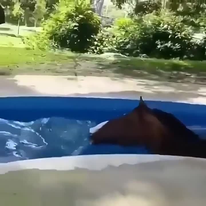 Я люблю тебя и точка!)))))))))))))))))))))))))))))))))