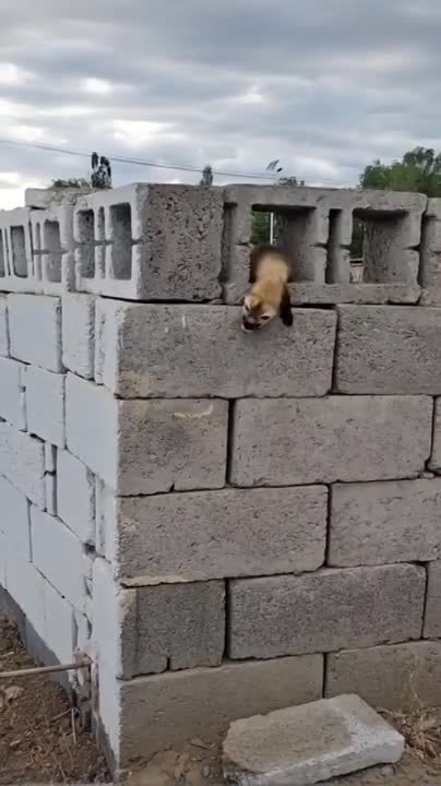 Нормальные герои всегда идут в обход ))!