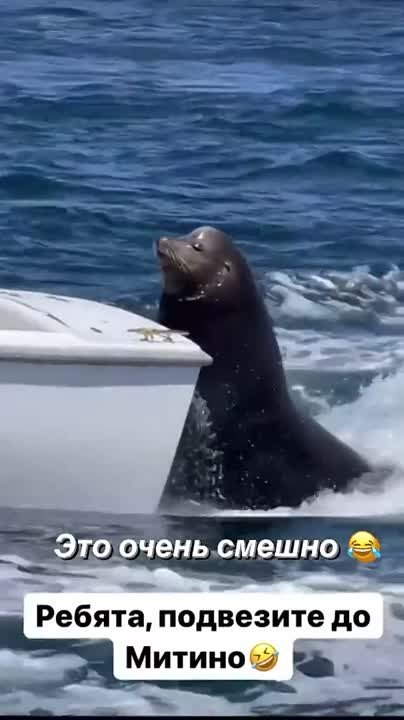 Не хочу участвовать в исторических событиях,устала от перемен.На море и на ручки,хлопці за мной!))