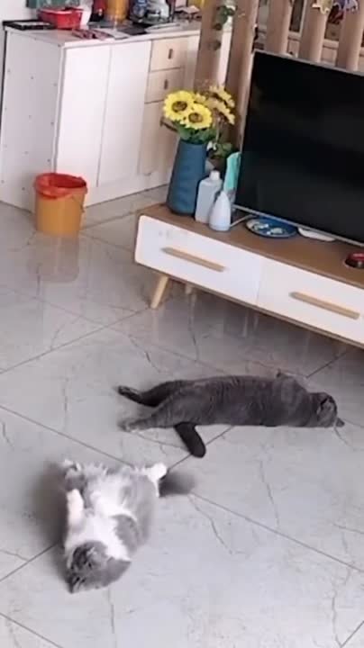 Но пять лет занятий ДАРОМ НЕ ПРОХОДЯТ, и с какой стороны держать меч, представляю.))