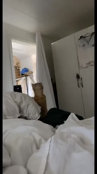 «В укрытие все! В укрытие! В укрытие, быстро!!!»