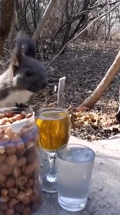 Привокзальный текст...