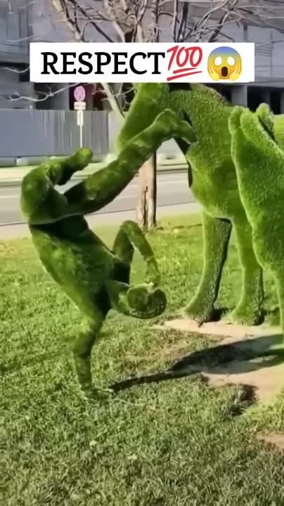 Вокруг света