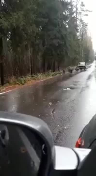 Приколы
