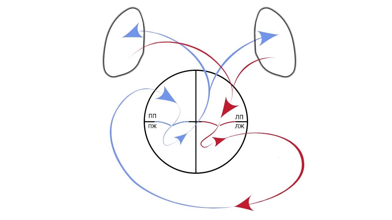 Просто о сложном
