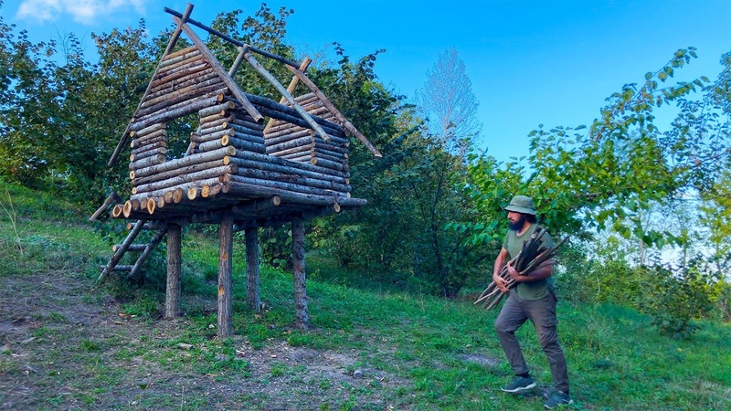 Своимилапками
