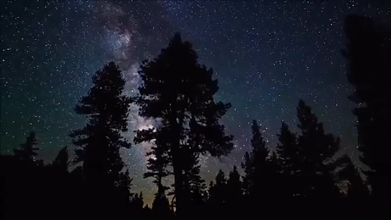 ВИТАС