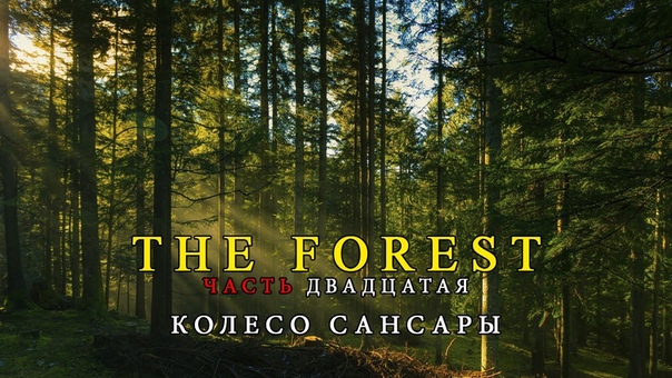 The Forest