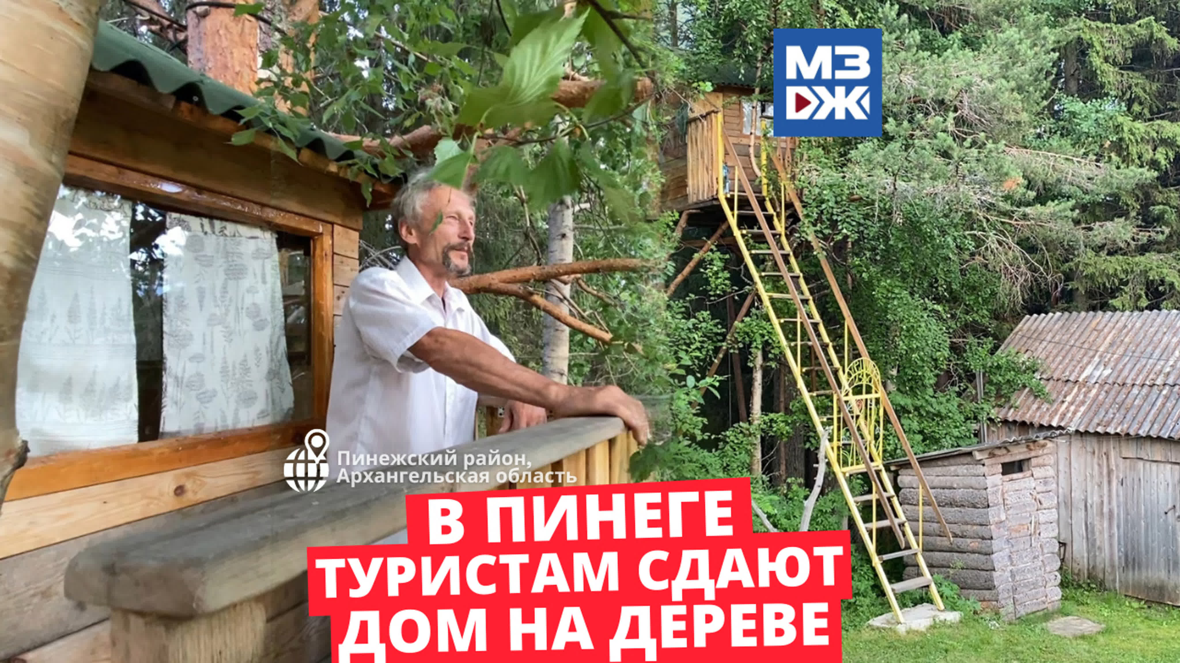 МЗЖ: ХОББИ