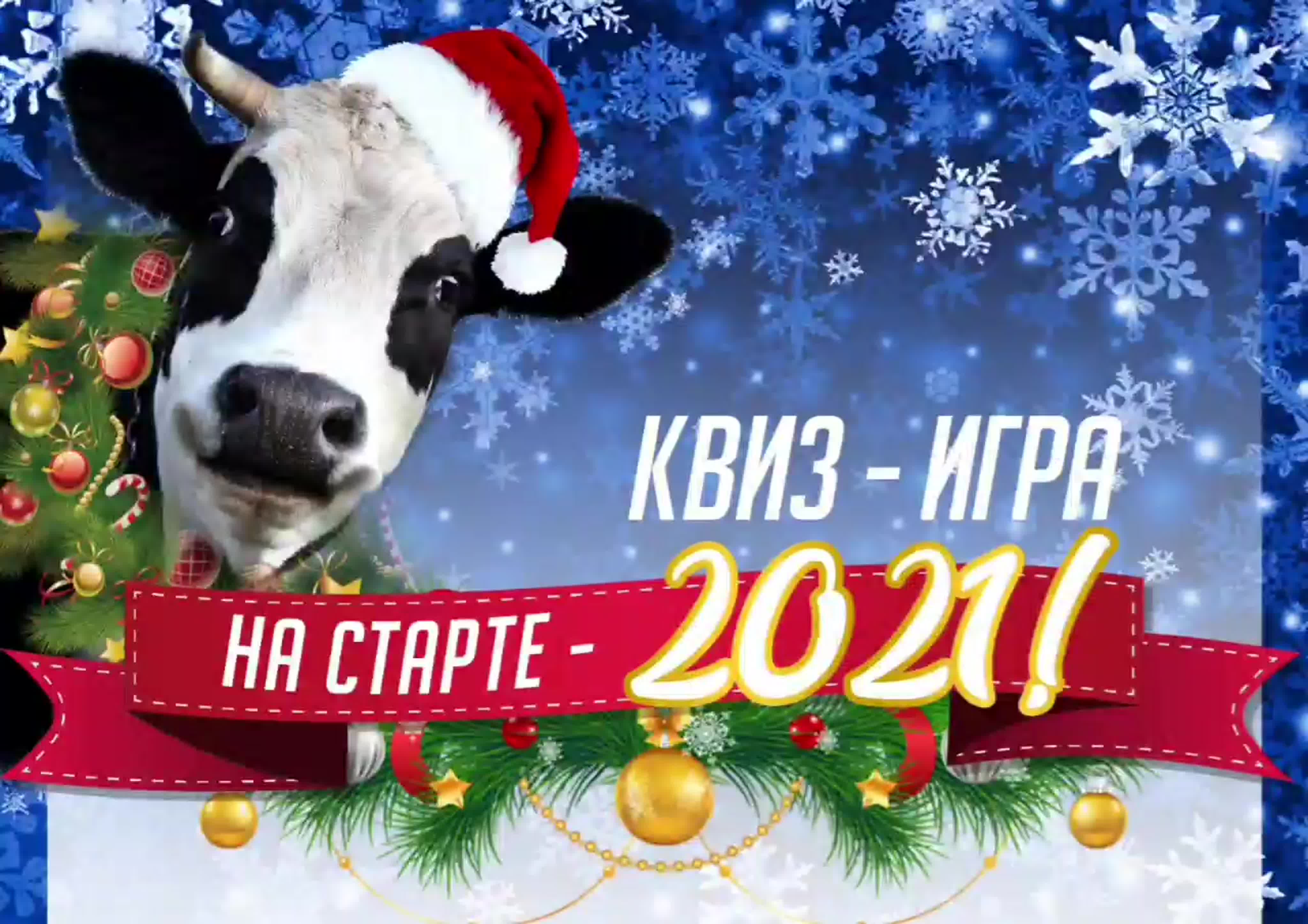 Викторины