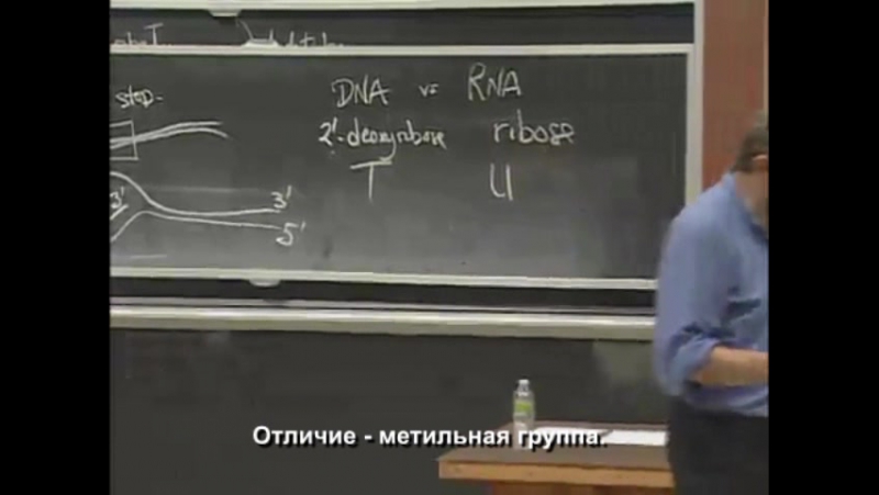 Лекции от MIT. Курс: Основополагающие принципы биологии