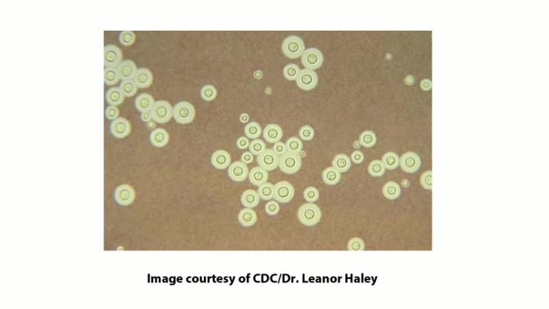 PART 3 - BASIC PART - MICROBIOLOGY