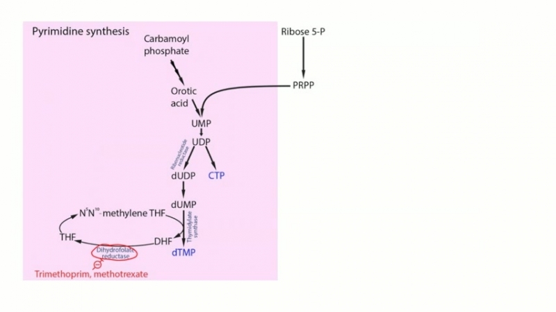 PART 3 - BASIC PART - BIOCHEMISTRY