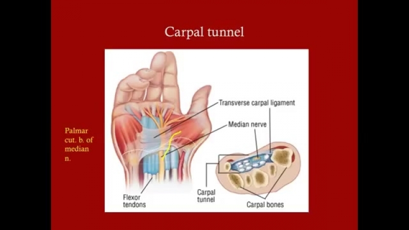 Paul Bolin - Crash! USMLE Step 2 & 3 - [Surgery] - Orthopedic Surgery