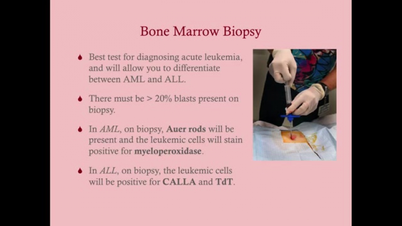 Paul Bolin - Crash! USMLE Step 2 & 3 - [Medicine] - Haemotology