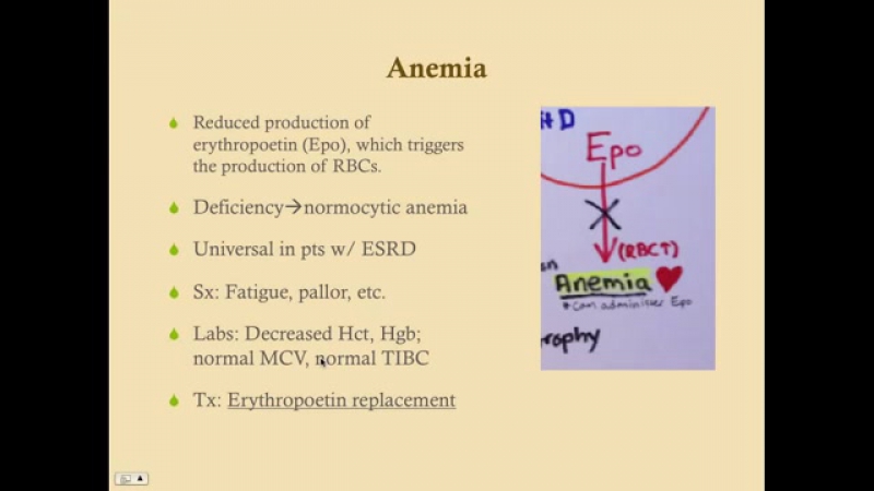 Paul Bolin - Crash! USMLE Step 2 & 3 - [Medicine] - Nephrology