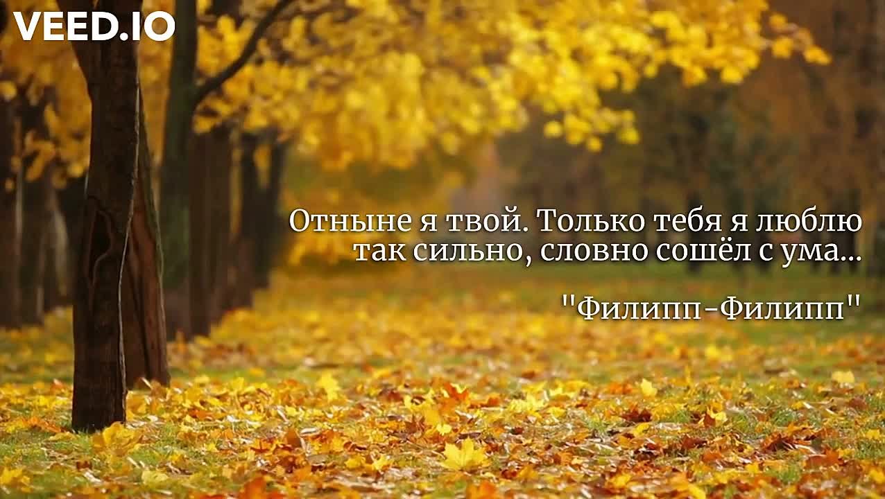 Подарки
