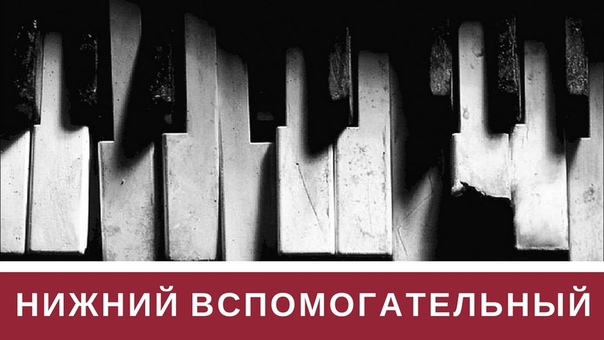 Курс 'Мастер гармонии'(гармонизация,тональность,аккорды)