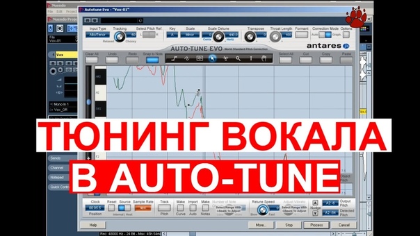Melodyne tutorials