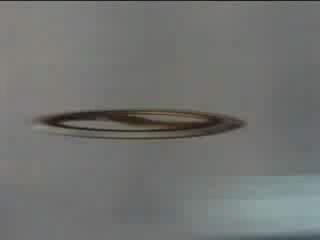 зена