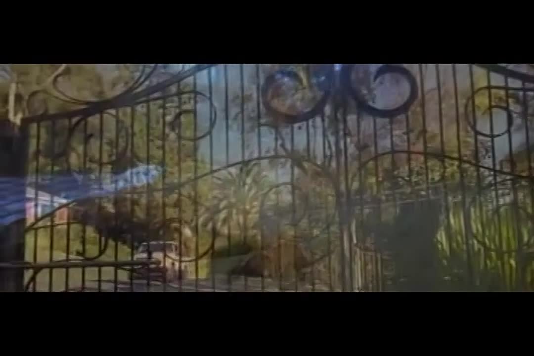 Ж