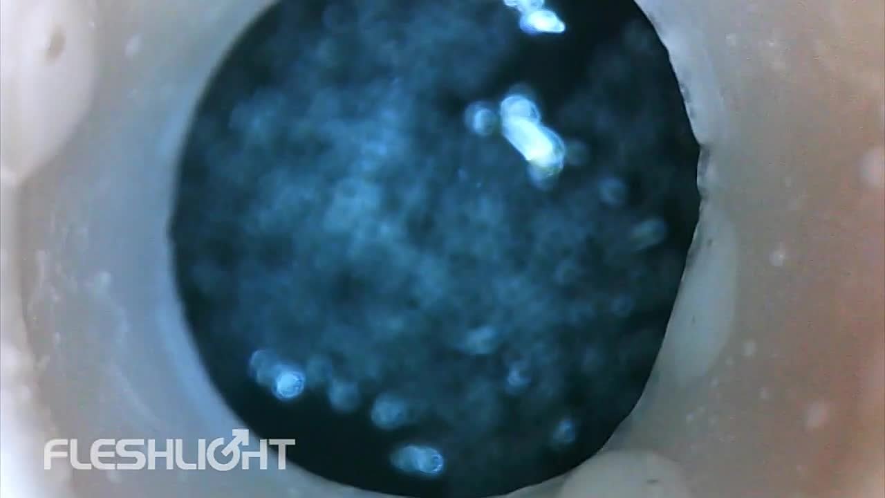 Fleshlight